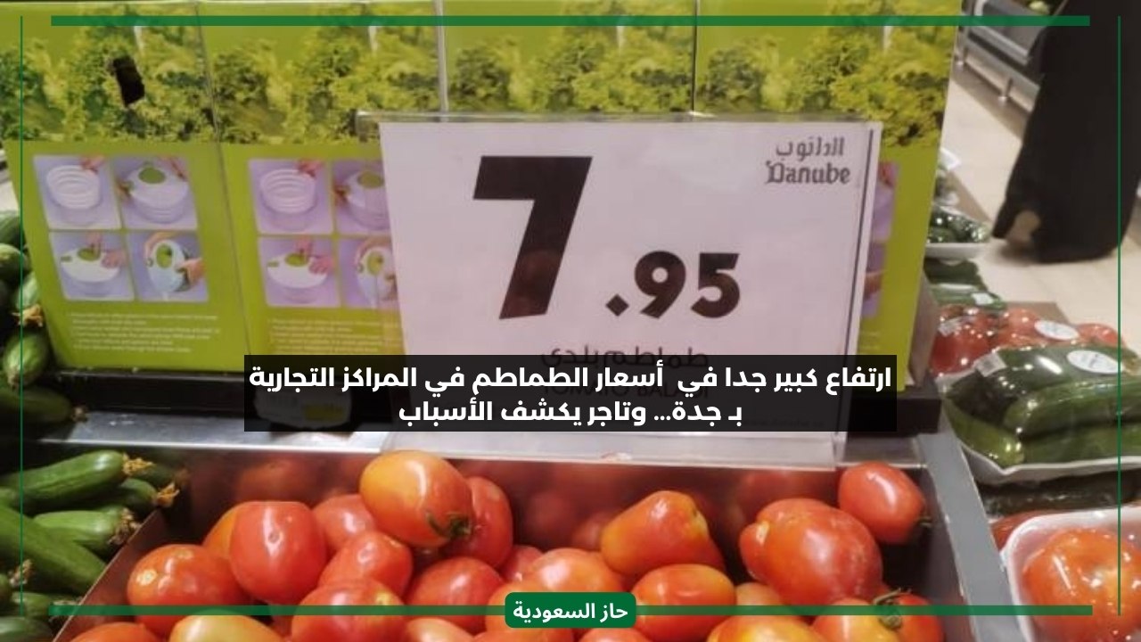 ارتفاع جنوني في أسعار الطماطم بـ جدة وتاجر يكشف السر