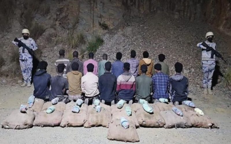 إحباط تهريب 306 كيلوجرامات من القات في جازان