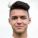 دافيد تيجانيتش