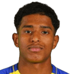 مشاري النمر