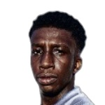 غازي هوساوي